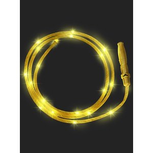 Wonder Woman: Peitsche