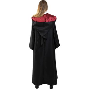 Harry Potter: Gryffondor