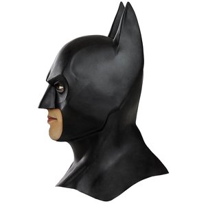 Batman: The Dark Night