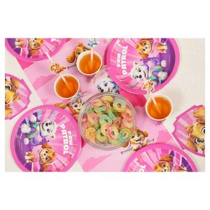 Paw Patrol - Runner da tavola: rosa