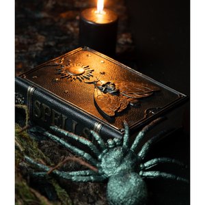 Book of spells: Falena notturna