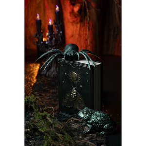 Book of spells: Falena notturna