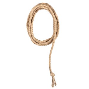 Lasso: Western