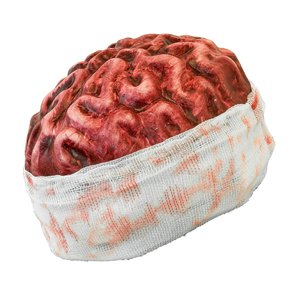 Couvre-chef: cerveau