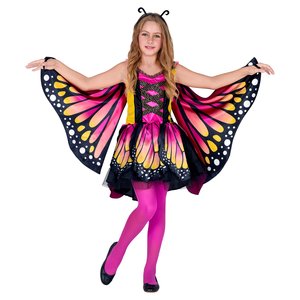Schmetterling Katja