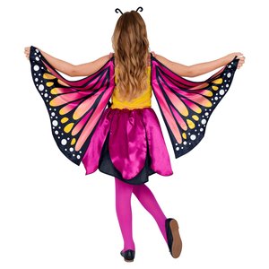 Schmetterling Katja