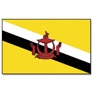 Brunei Darussalam 